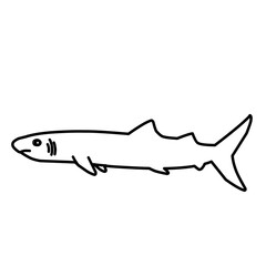 Shark Outline Vector 