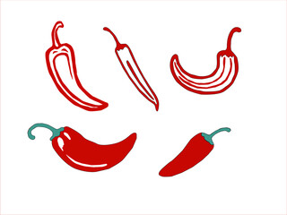 hot chili pepper. Red chili pepper hand drawn illustration. Vibrant red chili pepper illustration. Hand drawn red chili pepper. Red chili pepper doodle.