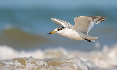 Fototapeta premium White Seabird in Flight Over Ocean Waves