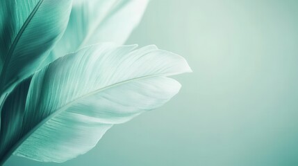Soft mint feathers create a calming atmosphere in a serene minimalist space