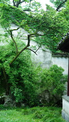 The classical Chinese garden buildings view in Suzhou of the China