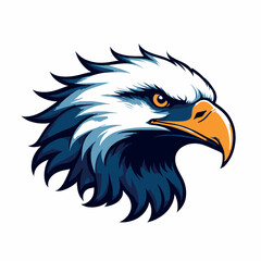 Fototapeta premium Detailed Eagle Head