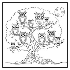 Fototapeta premium Cute Owl Bold and Easy Coloring Book for Kids and Adults