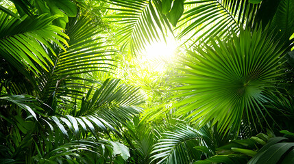 Lush Green Tropical Jungle With Bright Sunlight