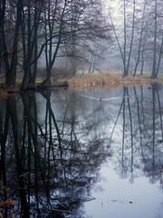 Misty landscapes. River and trees reflected in water.
