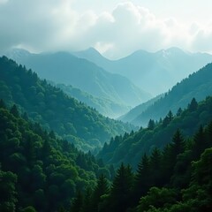 Fototapeta premium Dense evergreen canopy, swirling fog veils peaks, fir, cloud