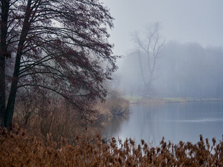 Misty landscapes. River and trees reflected in water.