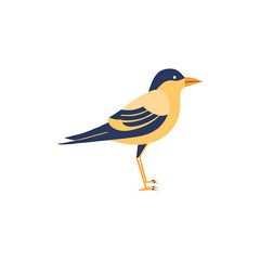 Bird PNG