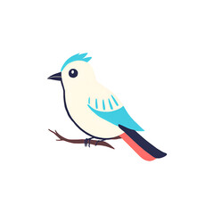 Bird PNG