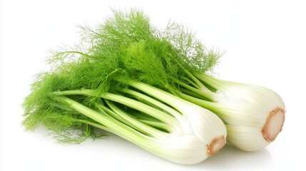 A fresh bunch of fennel with roots, displaying a vibrant green color, isolated against a white background