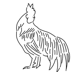 vector illustration of a rooster