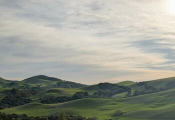 Obraz premium waves of velvety hills basking in the afternoon's golden glow
