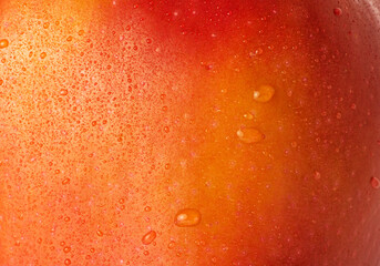 Red and yellow apple with water drops macro photo as a background.