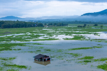 High angle view a single hut in the middle of a meadow in wetland, A hut surround by river and meadows
