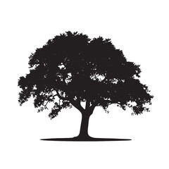 Fototapeta premium tree silhouette isolated on white