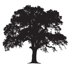 Fototapeta premium vector tree silhouette