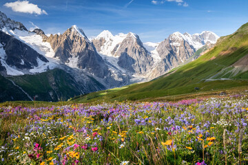 Obraz premium Vibrant Meadow with Wildflowers and Snow-Capped Mountains