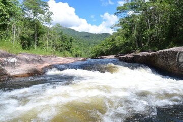 Obraz premium A roaring jungle river, its white waters cutting through the thick vegetation