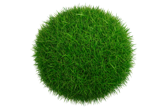 Grass, lawn grass, a circle of short green grass on the ground, top view, isolated on a transparent background (2)