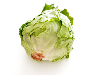 白背景に緑色のレタス