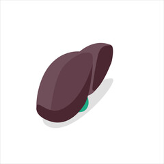 human pancreas vector design illustration internal icon