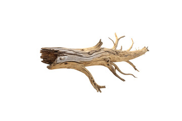 Fototapeta premium A bleached, weathered log with twisted, reaching limbs, evoking themes of nature’s passage, time’s erosion, and organic elegance sculpted by the elements, isolated on a transparent background