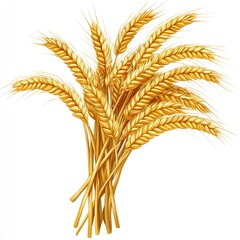 Fototapeta premium Sheaf of Wheat ears, isolated on transparent background. Png format. isolated on white background 