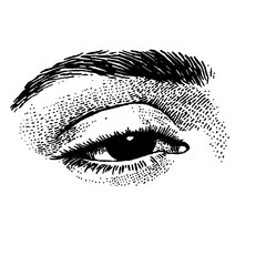 Obraz premium Vector engraved illustration of a human eye emphasizing detailed features and textures