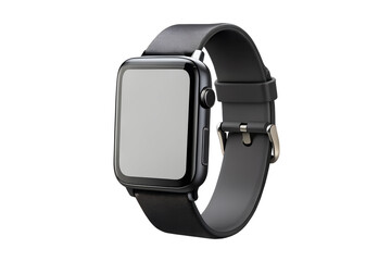 black belt isolated on white