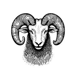 Vector engraved illustration of a ram's head with detailed horns and beard, showcasing natural beauty and strength in black and white