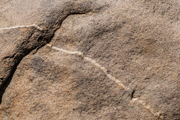 Woodson Mountain Granodiorite (Cretaceous) / igneous rock. San Diego County, California Geology. In...