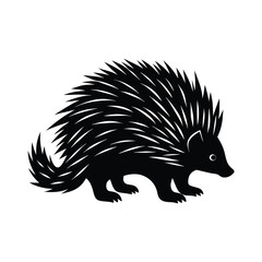 Porcupine silhouette isolated on white background
