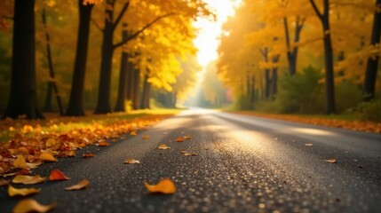 Golden Autumn Roadway Sunlit Path Through a Canopy of Vibrant Yellow Leaves