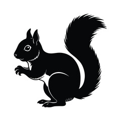Squirrel silhouette isolated on white background