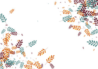 Brown Leaf Background White Vector. Foliage Modern Texture. Golden Plant. Orange Herb Nature. Season Set.