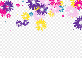 Yellow Daisy Background Transparent Vector. Floral Simple Design. Multi-colored Gerbera Factory. Festive Template. Art Bright Chamomile.