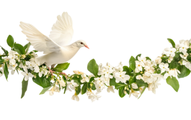 A Universal Emblem of Hope