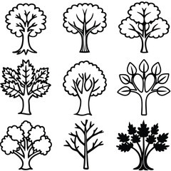 Obraz premium collection of trees