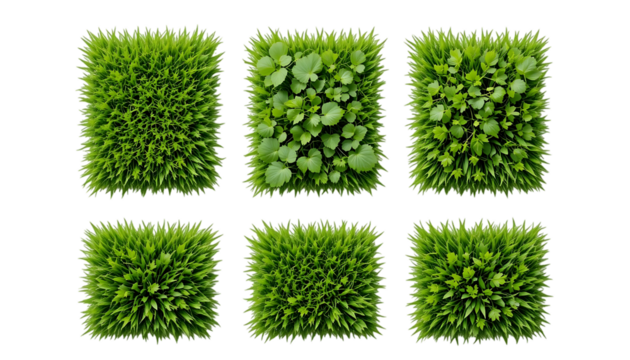Collection of Patch of fresh green lawn grass isolated on png