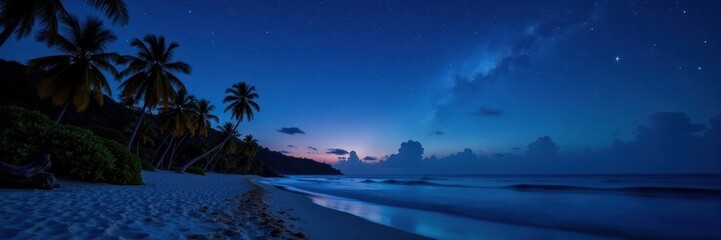Fototapeta premium Starry night sky over tranquil tropical beach Dark sand, palm silhouettes , sand, peaceful, escape