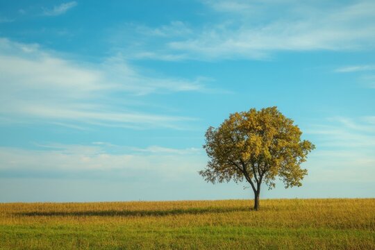 A solitary tree stands gracefully amid a vibrant green field under a bright blue sky, showcasing the serene beauty of nature in a rural landscape. - Powered by Adobe