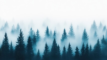 Fototapeta premium Mystical Forest: A captivating vista of towering evergreen trees shrouded in a delicate mist. The scene evokes a sense of serenity and mystery, ideal for conveying a sense of wonder and escape.