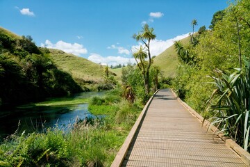 Empty Boardwalk at the Blue Spring - Serene Te Waihou Walkway