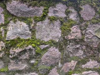 An very old stone wall.Moss.Texture 