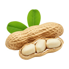 peanuts in shell