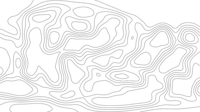 Contour Topographic Background Animation