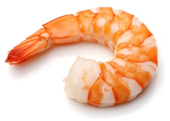 Single cooked shrimp on white background