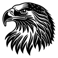 A Detailed Black and White Graphic Representation of an Eagle Head.