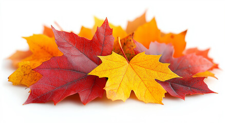 Fototapeta premium Vibrant Autumn Leaves on a White Background – A Warm and Cozy Display of Red, Orange, and Yellow Foliage Capturing the Essence of Fall