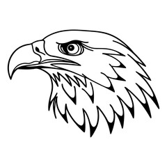 Detailed Black and White Line Art Illustration of an Eagle Head.